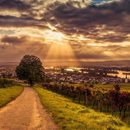 Ferienwohnung Reblaus Rudesheim am Rhein Bagian luar foto