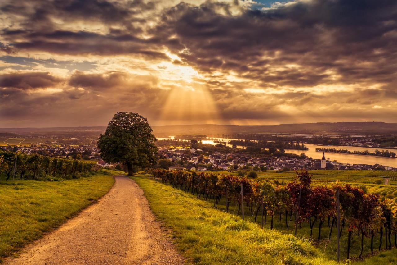 Ferienwohnung Reblaus Rudesheim am Rhein Bagian luar foto